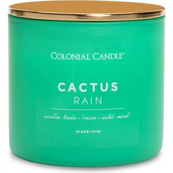 ŚWIECZKA zapachowa POP OF COLOR Cactus Rain 411g